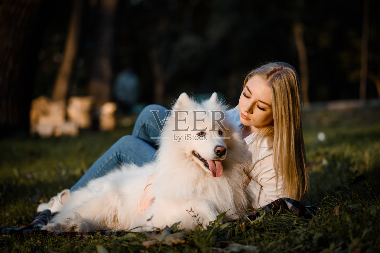一位穿着白衬衫的美丽女子抱着她的白狗在公园外面的草地上。照片摄影图片