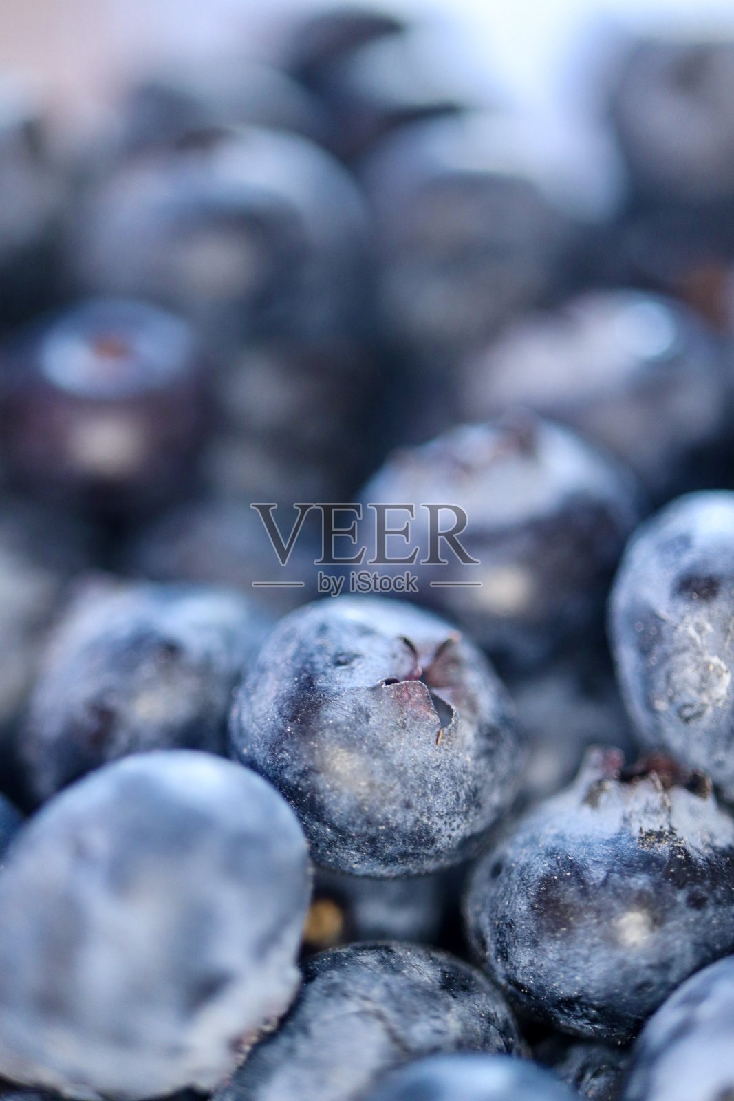 蓝莓深度照片摄影图片