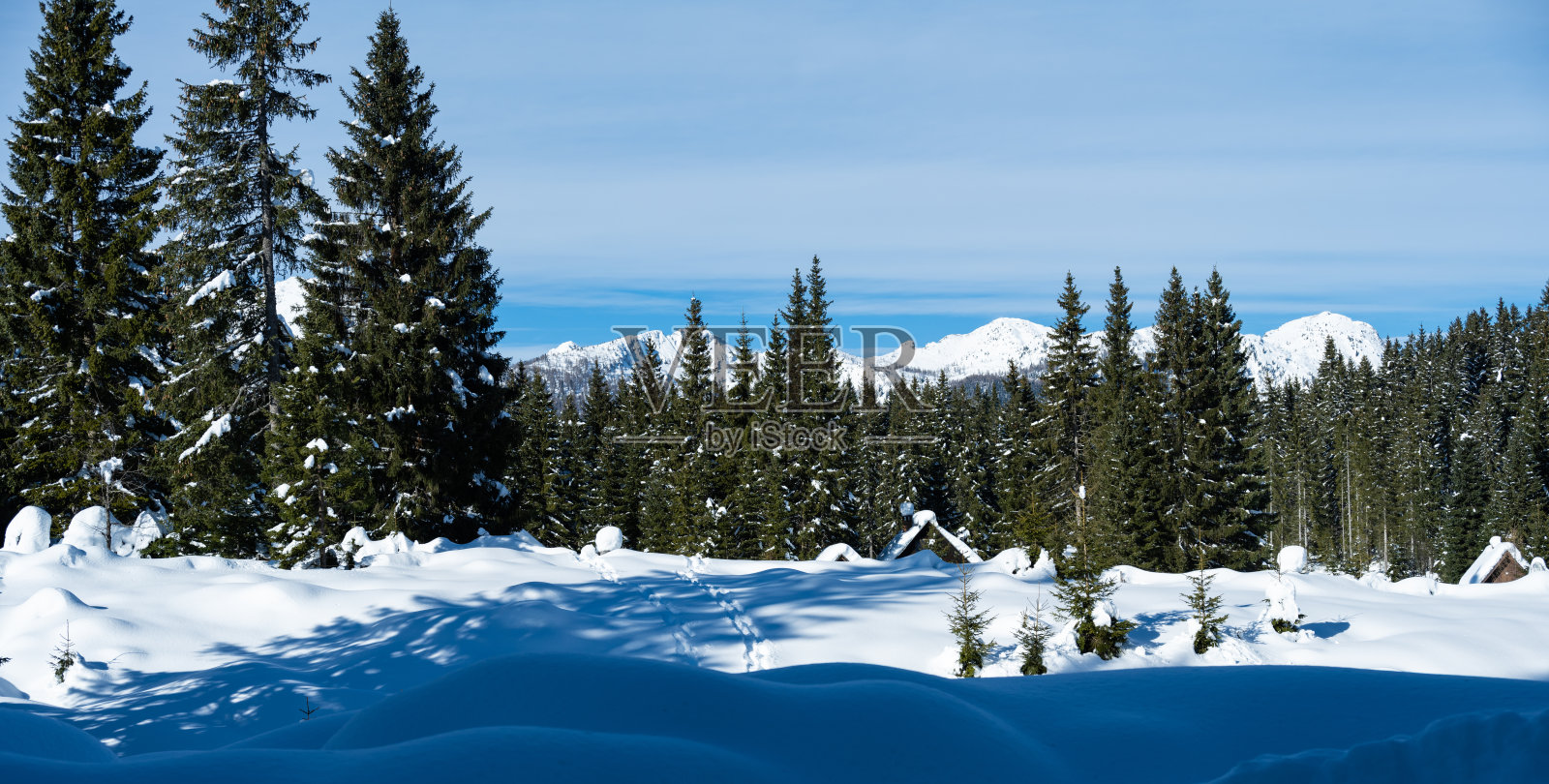 田园诗般的冬季雪景与森林照片摄影图片
