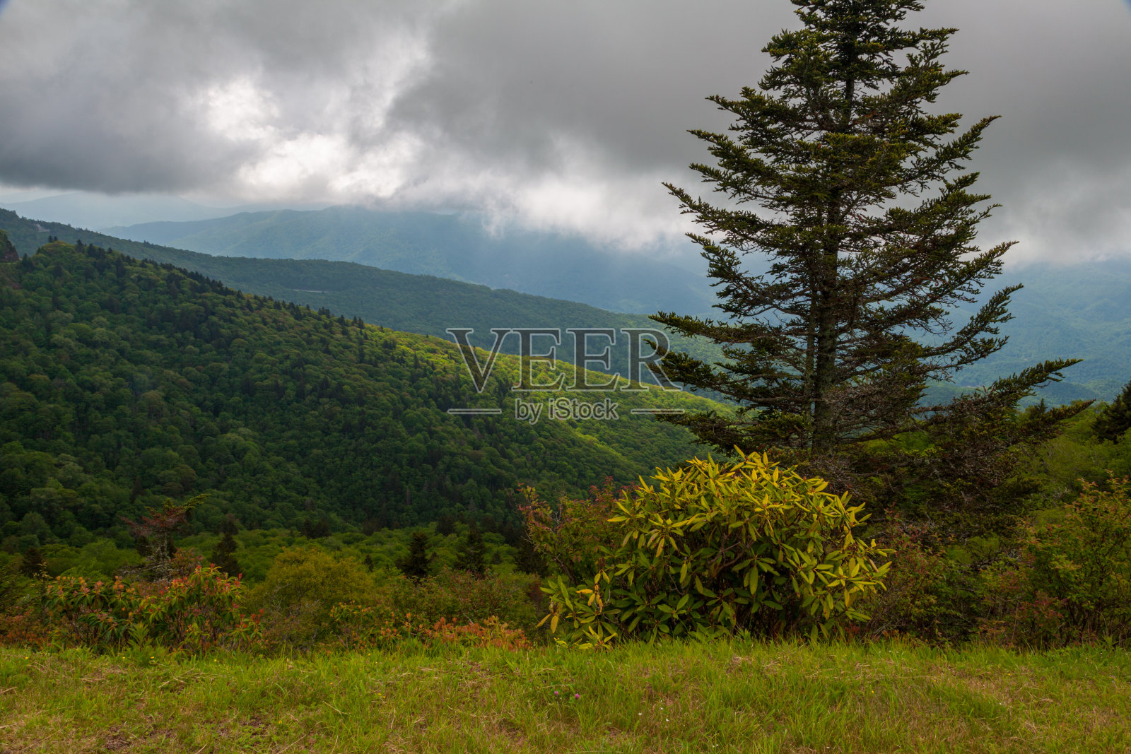 蓝岭风景区干道照片摄影图片
