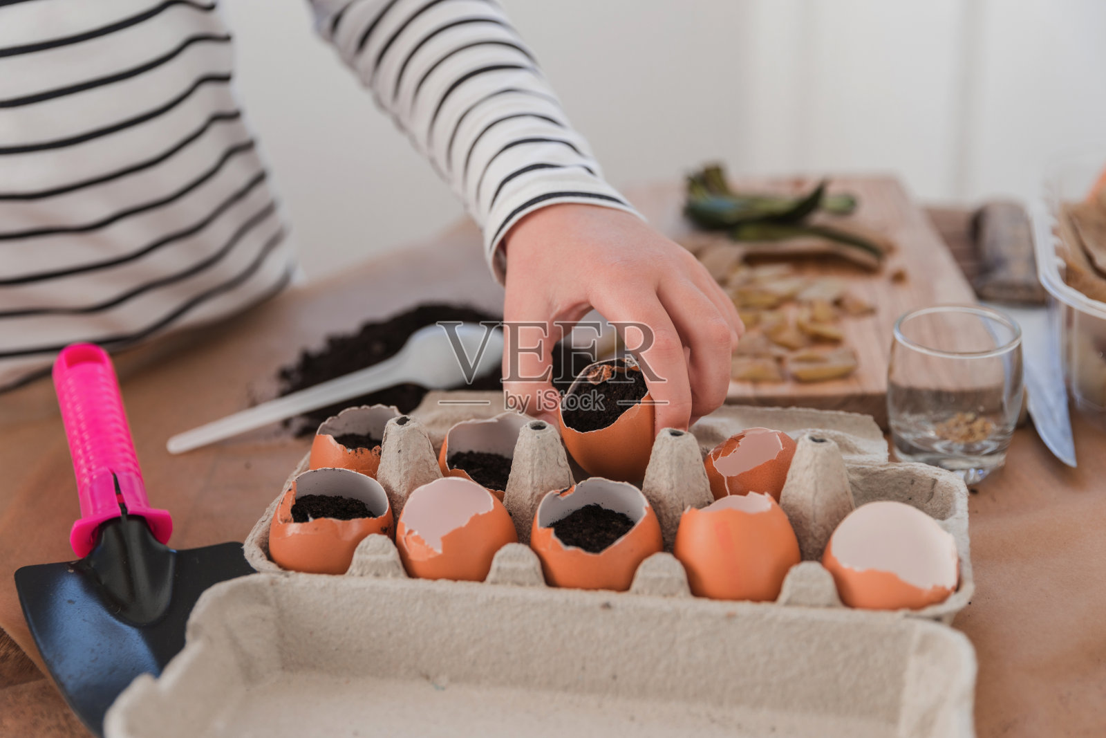 孩子准备用蛋壳播种照片摄影图片