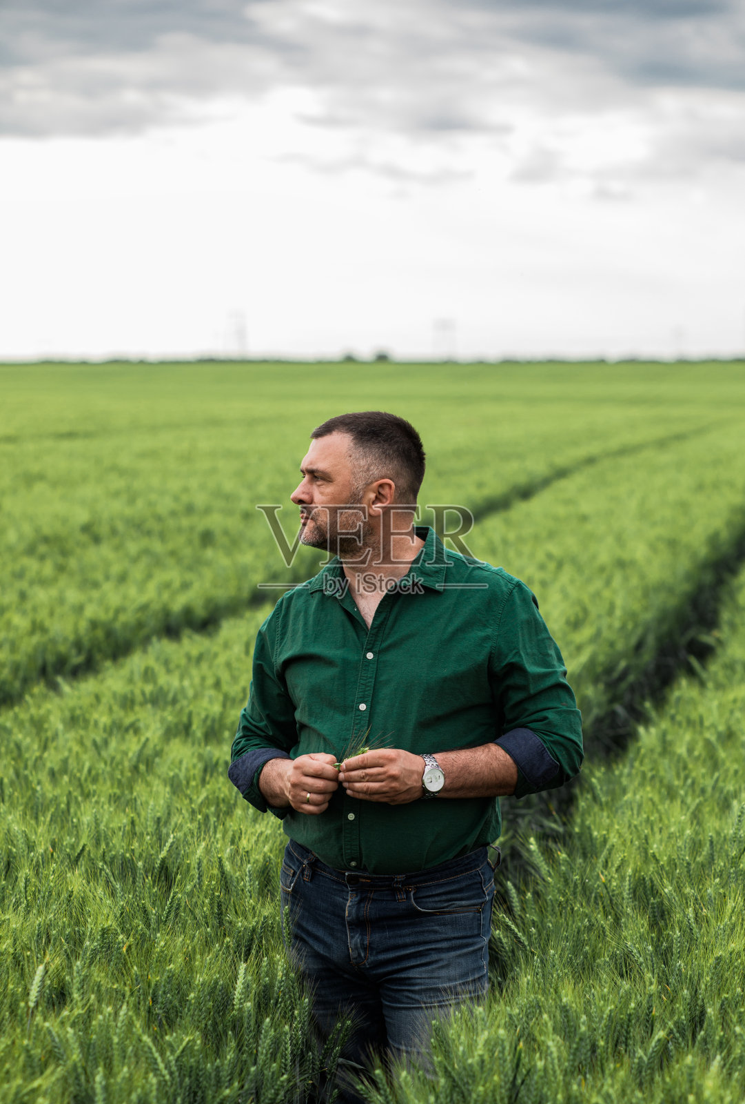 麦田里的中年农民的肖像。照片摄影图片