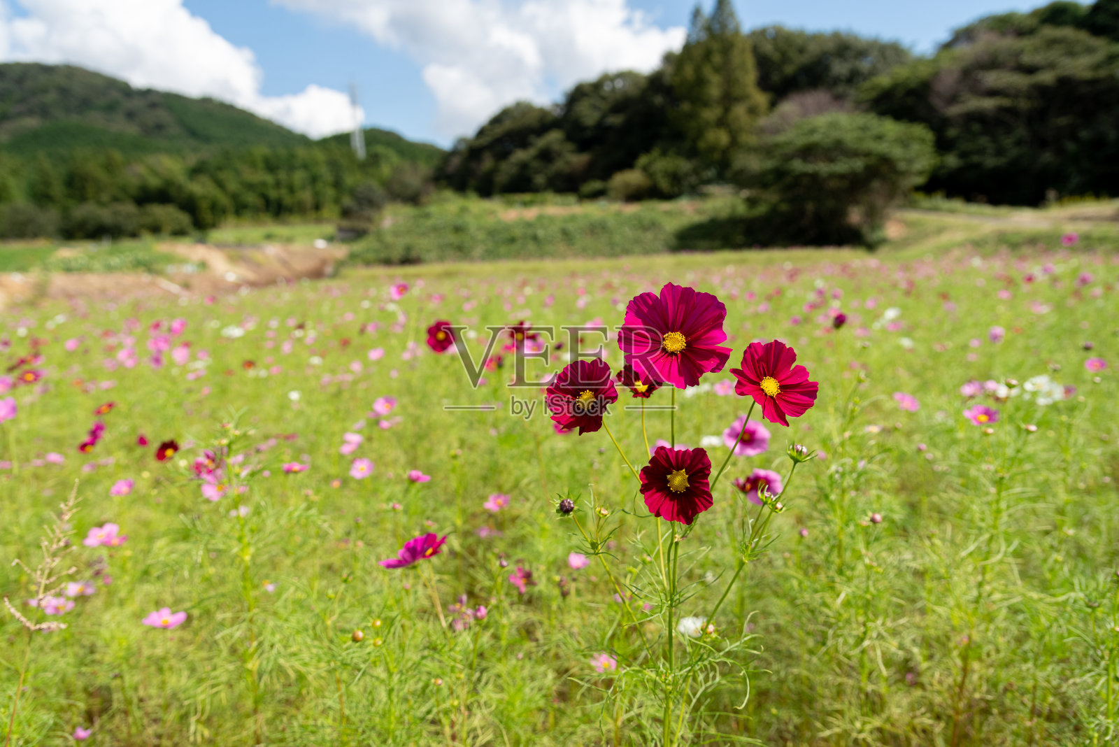宇宙照片摄影图片