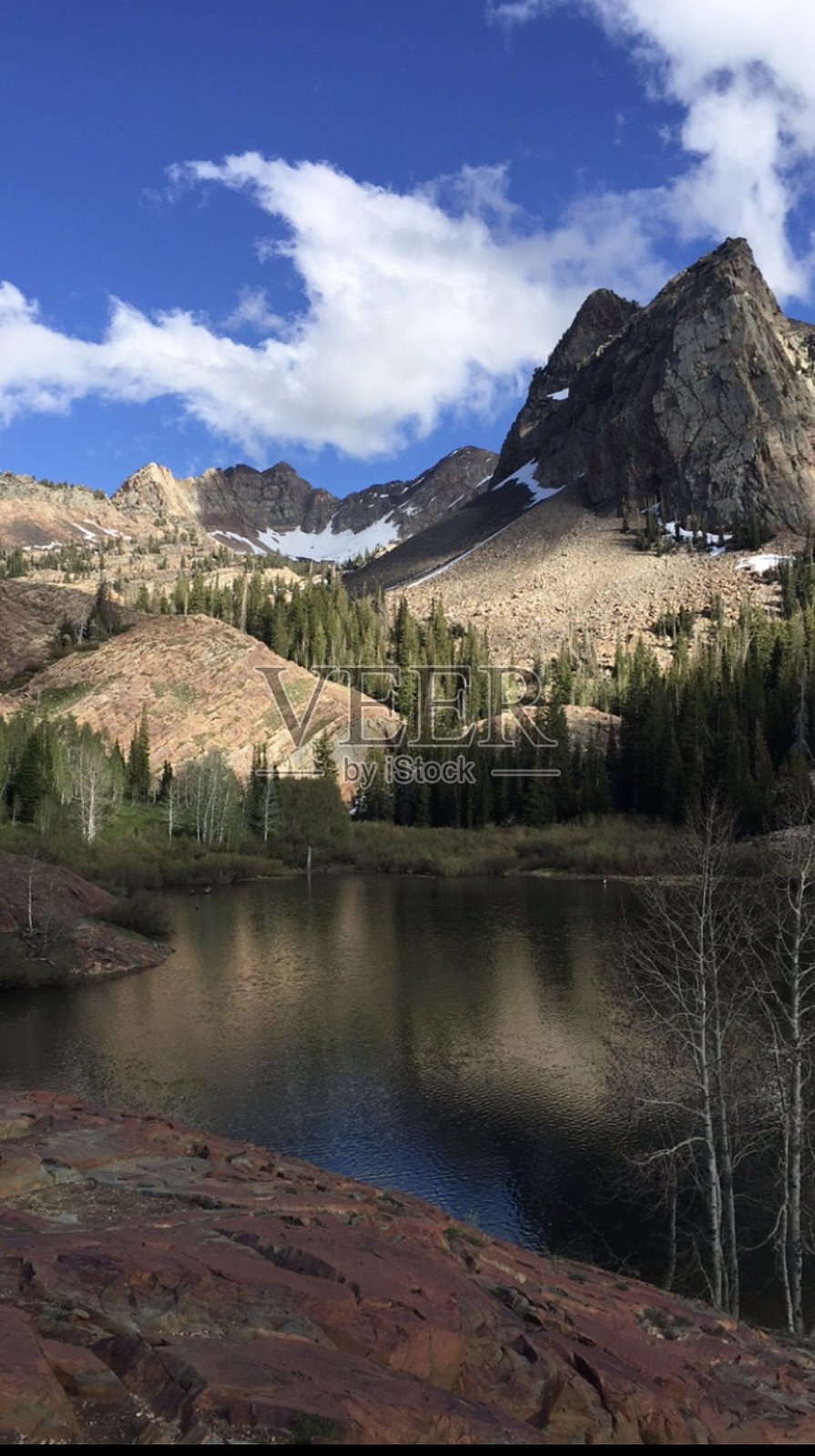 自然照片摄影图片