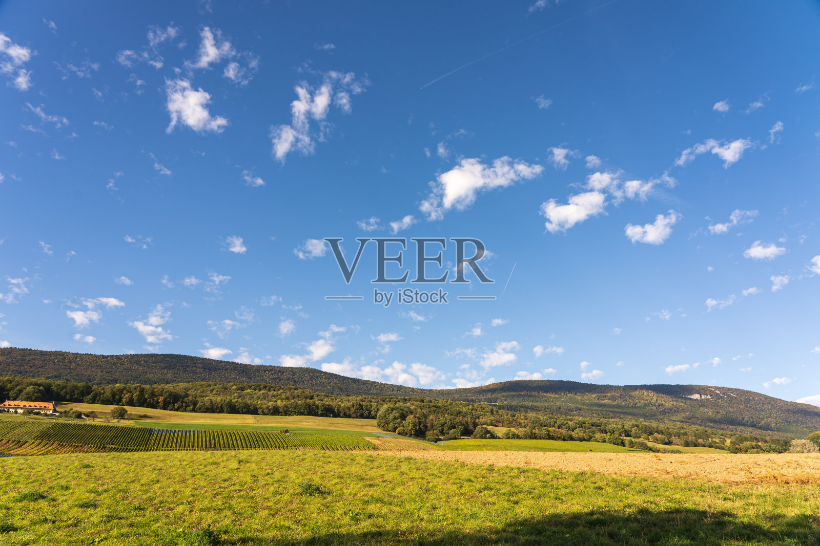 香槟夏天的风景照片摄影图片