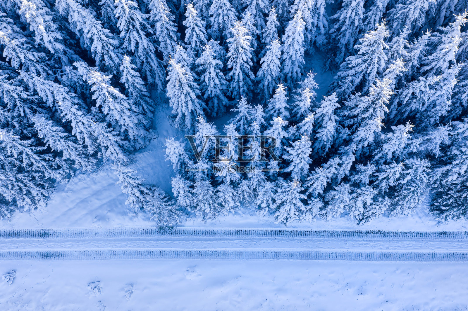 冰雪覆盖的冬季森林和森林小径照片摄影图片