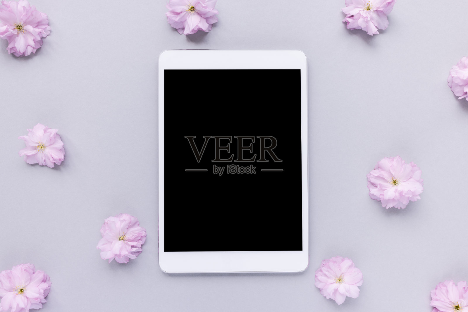 数码平板在春天花粉红色的背景照片摄影图片