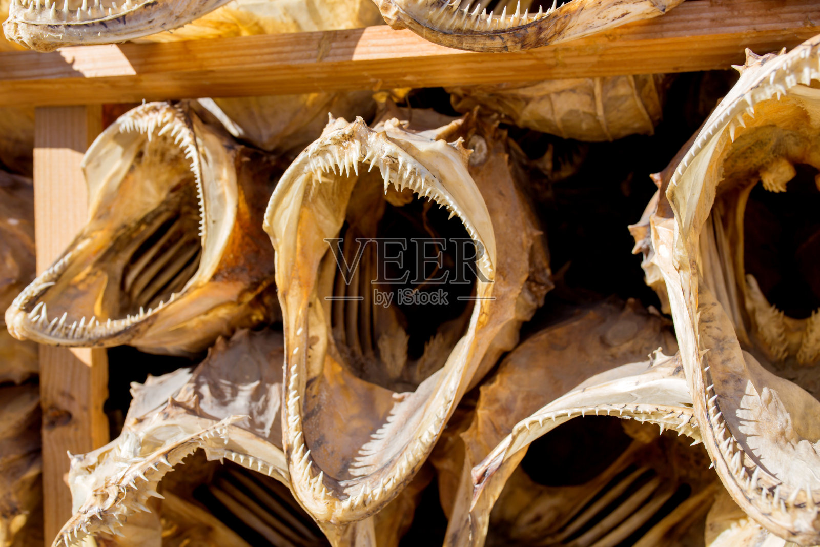 挪威罗浮敦群岛西南村庄，为游客展出的干鱼照片摄影图片