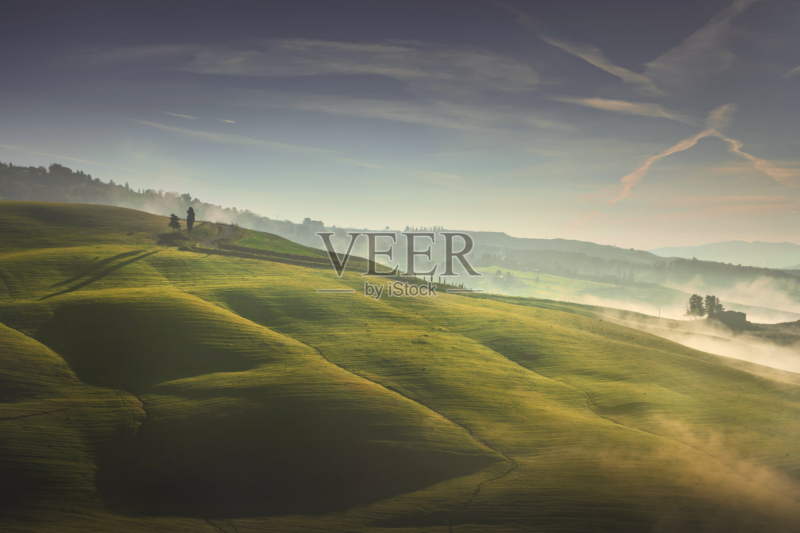 日出时，雾蒙蒙的风景、树木、起伏的山丘和绿色的田野。意大利托斯卡纳照片摄影图片