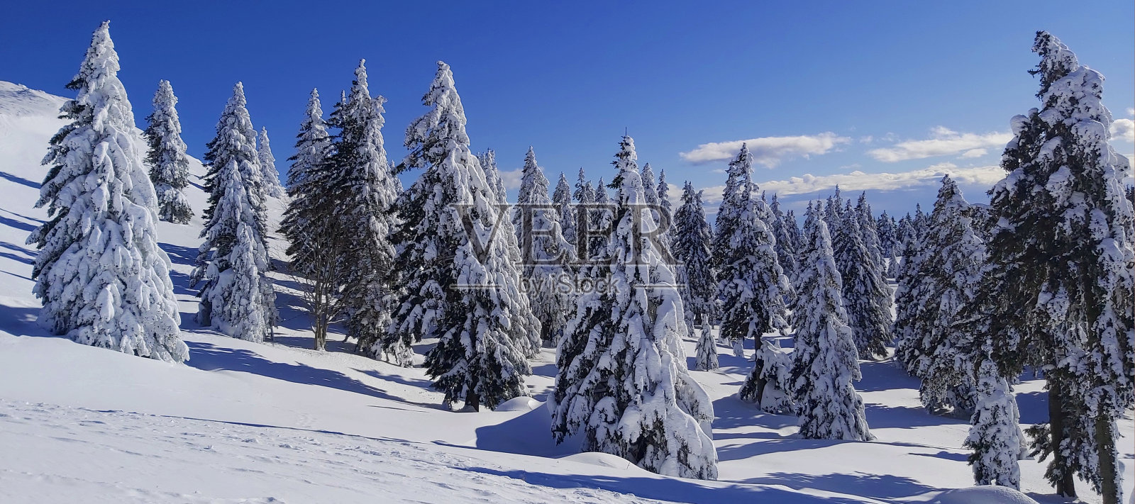 冬天的童话照片摄影图片
