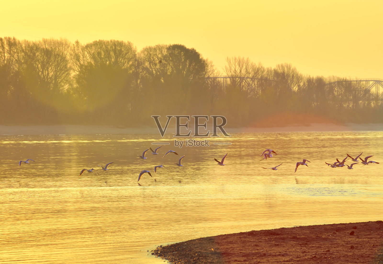 鄂毕河的河岸照片摄影图片