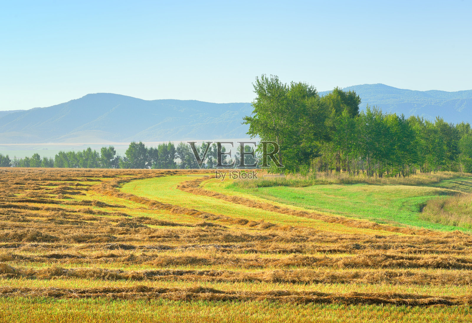 阿尔泰山脉的丘陵地带照片摄影图片