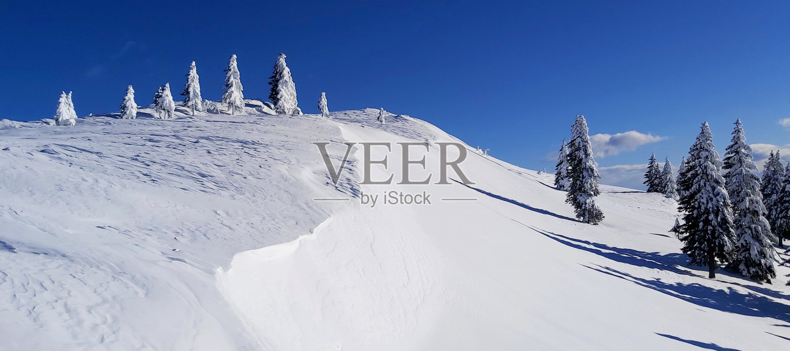 冬天的童话照片摄影图片