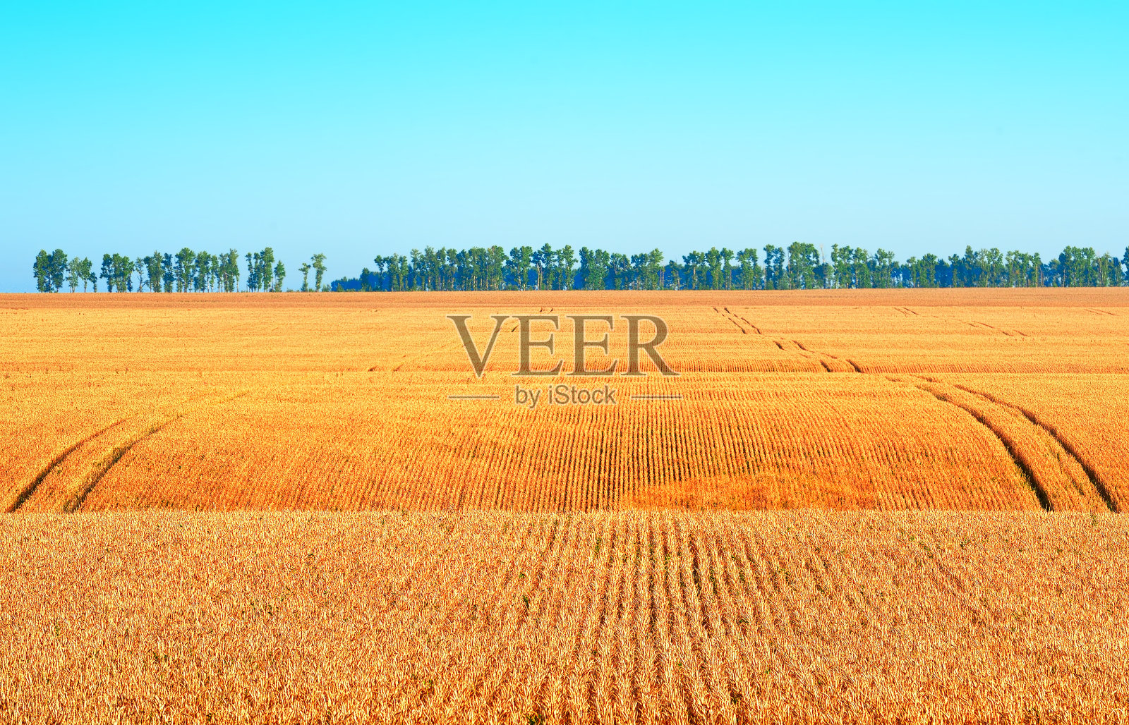 阿尔泰山脉的丘陵地带。照片摄影图片