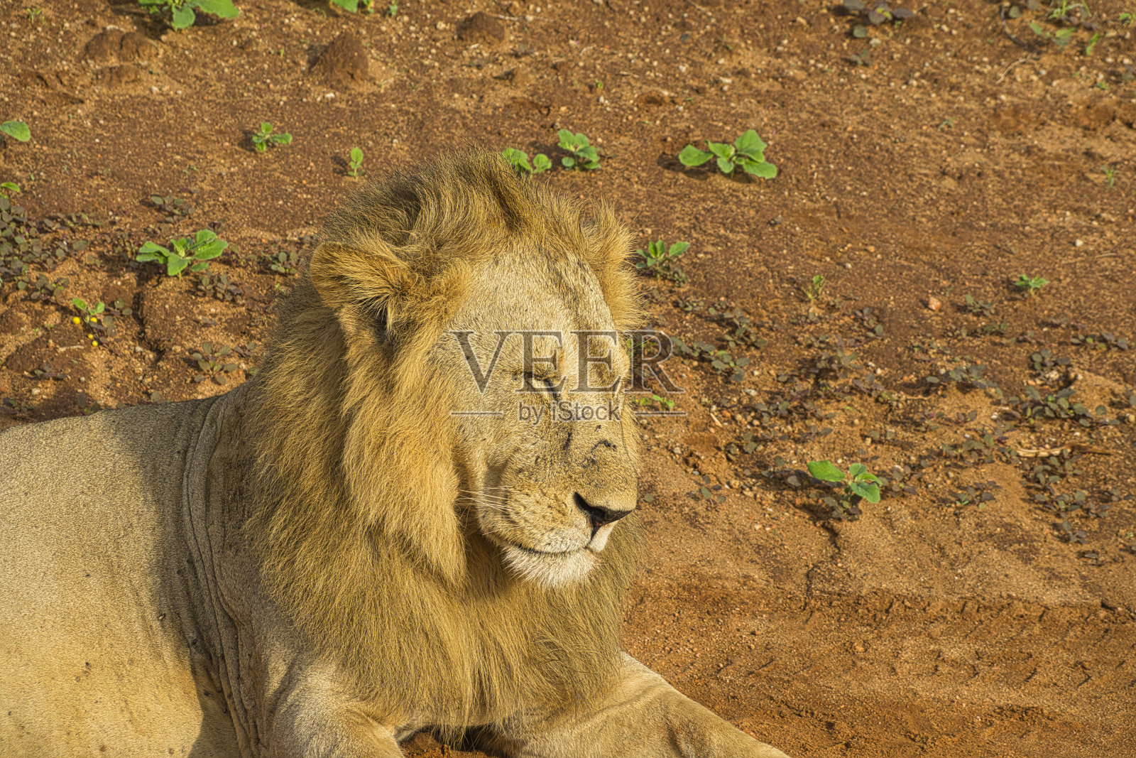 游客们照片摄影图片