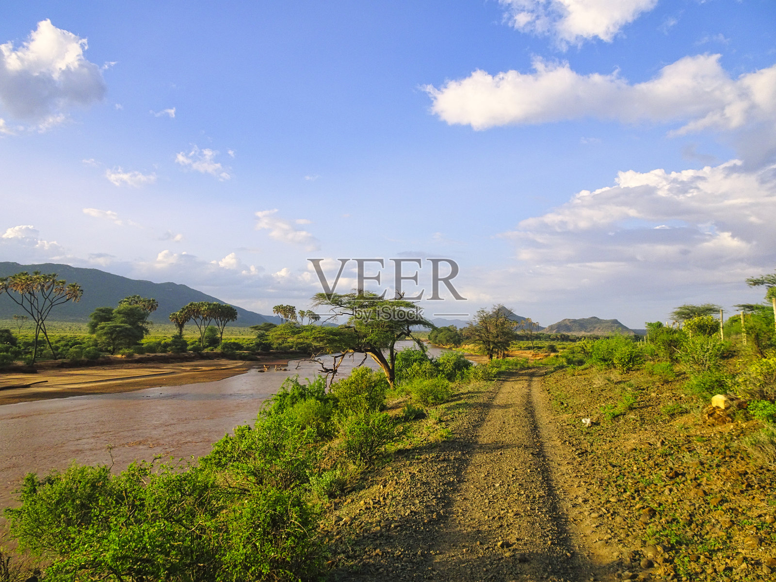 东查沃西部国家公园照片摄影图片