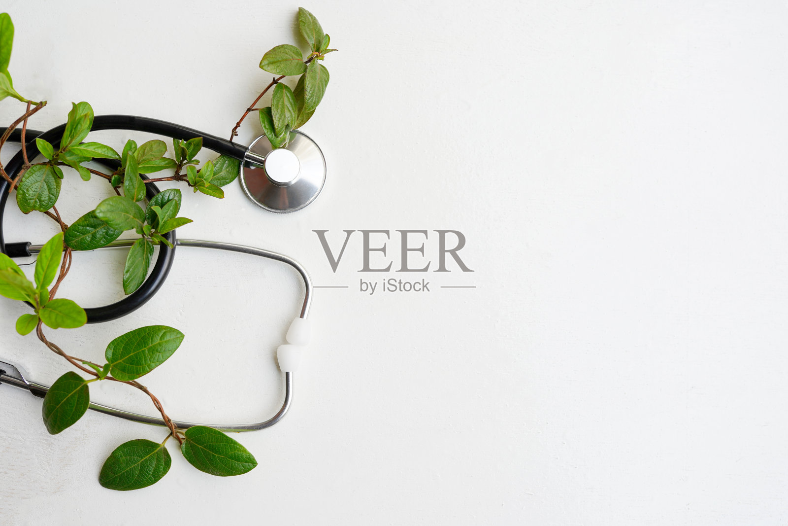 替代医学绿色植物和听诊器在白色背景与复制空间照片摄影图片
