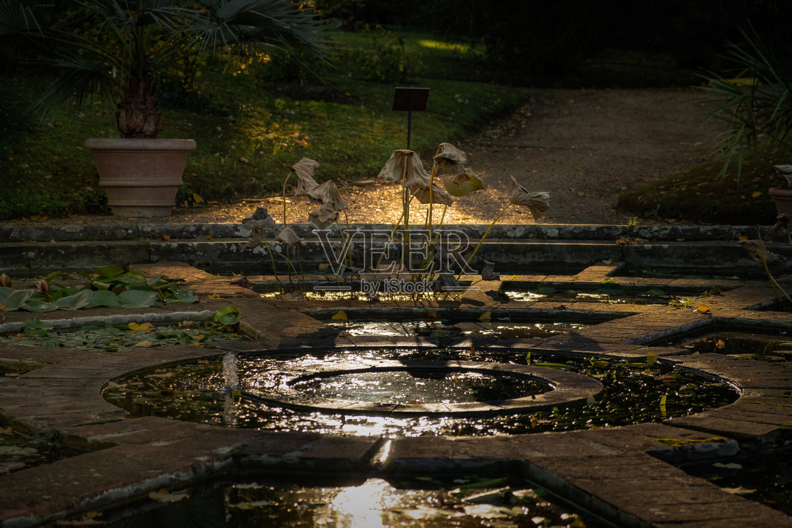 水族馆照片摄影图片