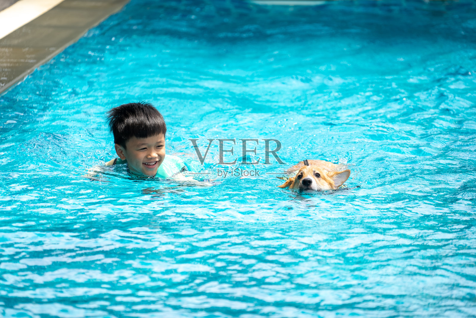 亚洲男孩和柯基小狗在游泳池玩耍照片摄影图片