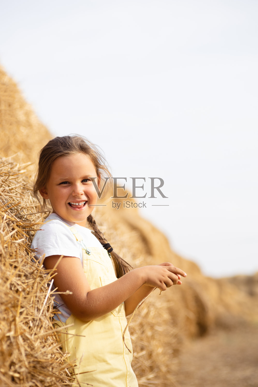 发辫的少女激动地露出舌头，微笑着望着镜头，倚在田里的干草堆上，双手捧着干草，眯着眼睛。时间远离城市在乡村田野照片摄影图片