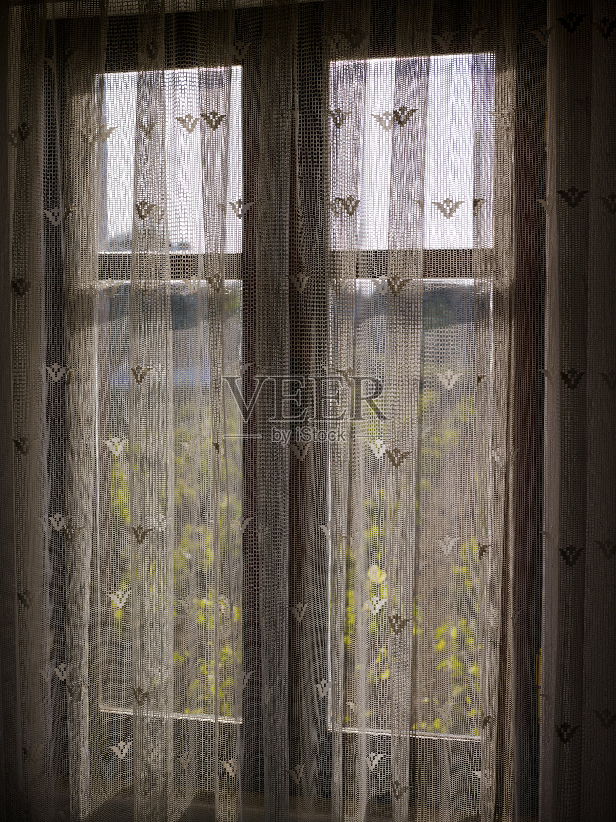透过窗上的薄纱窗帘可以看到花园照片摄影图片