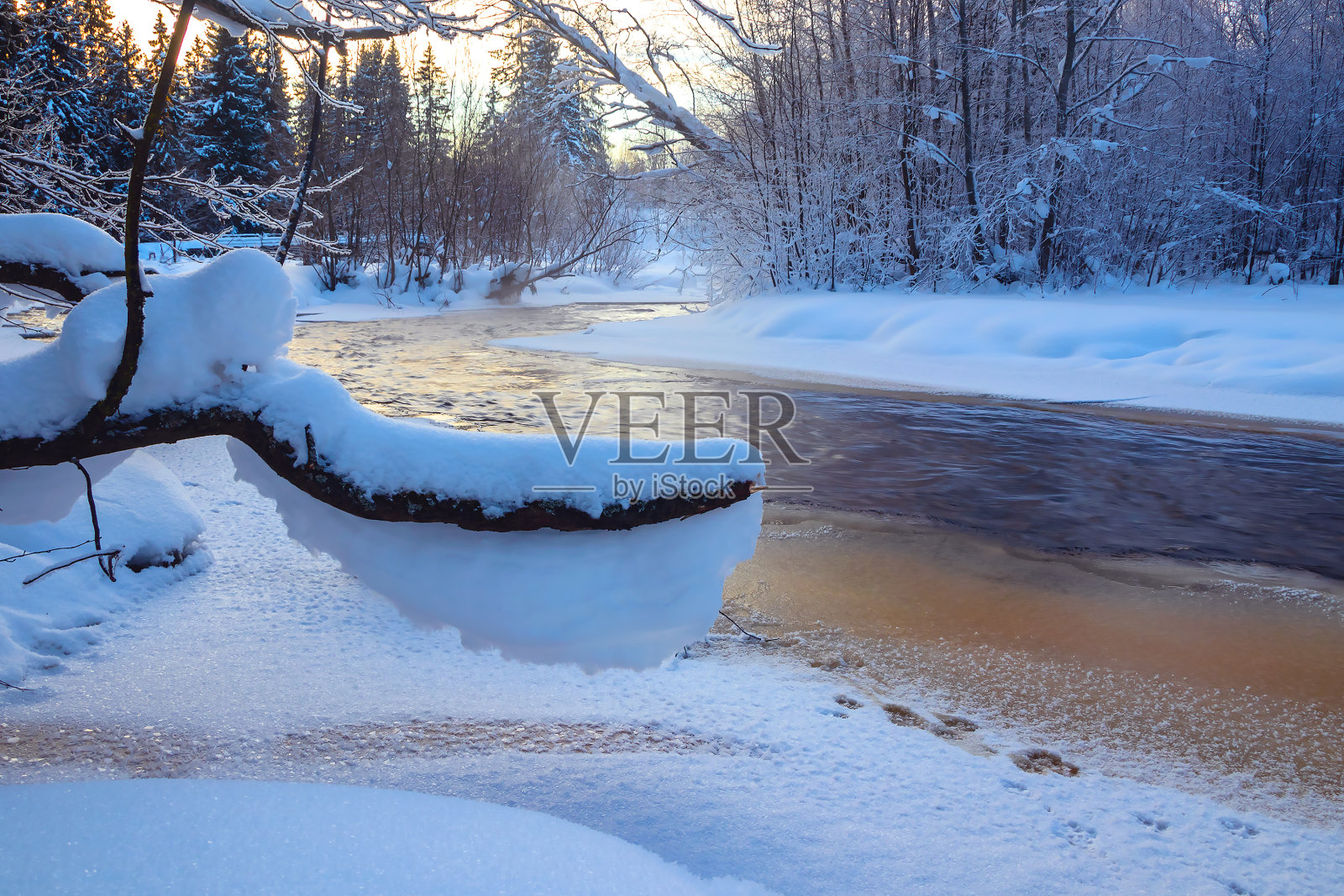 冬天的景观，霜冻的一天，河边闪闪发光的白雪和植被沿海岸。照片摄影图片