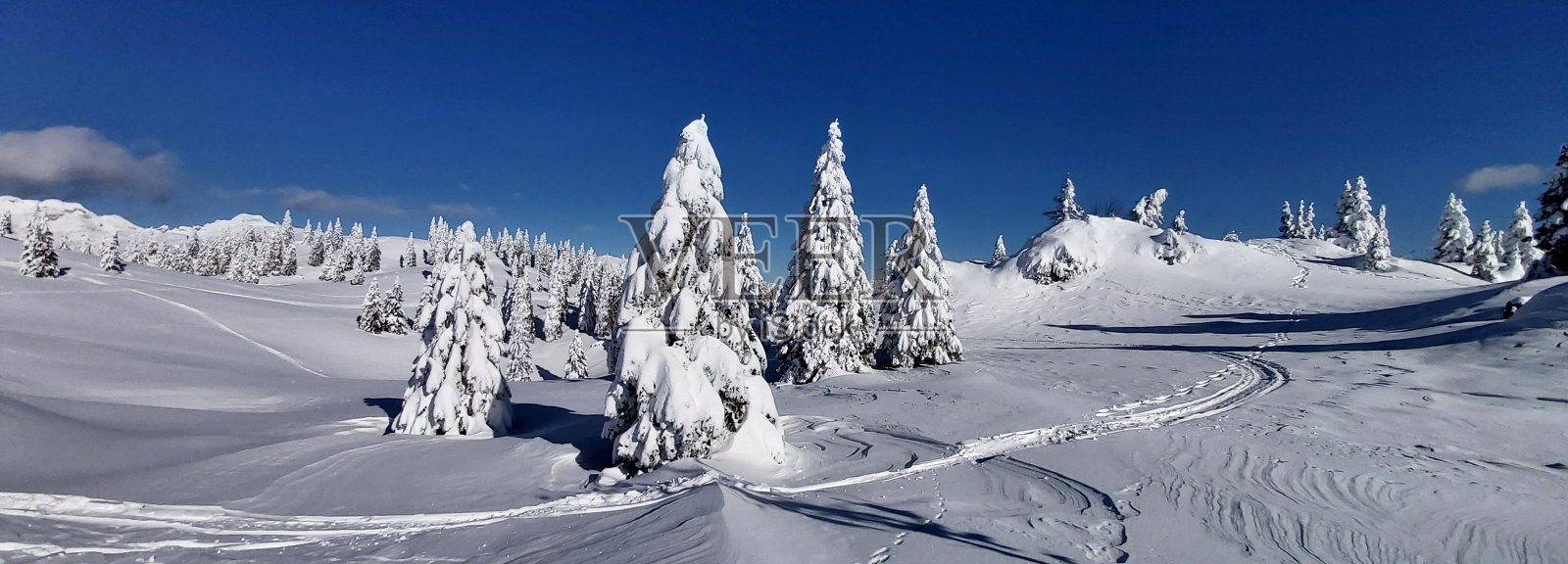 冬天的童话照片摄影图片