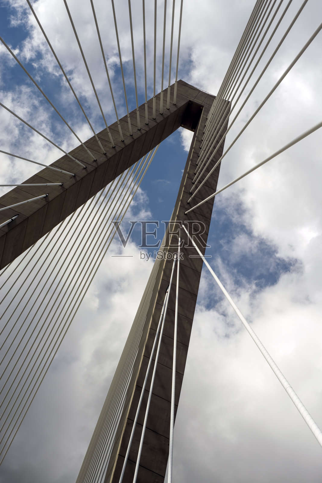 南卡罗来纳州查尔斯顿的电缆桥架照片摄影图片