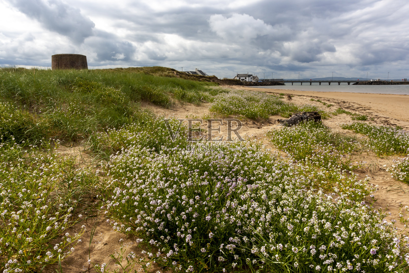 北爱尔兰的荒野海滩照片摄影图片