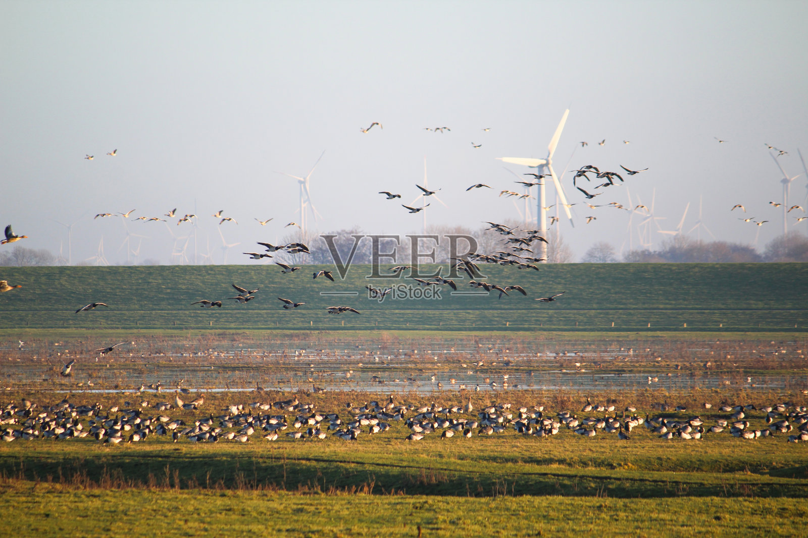 【德国】希尔根里德西尔照片摄影图片