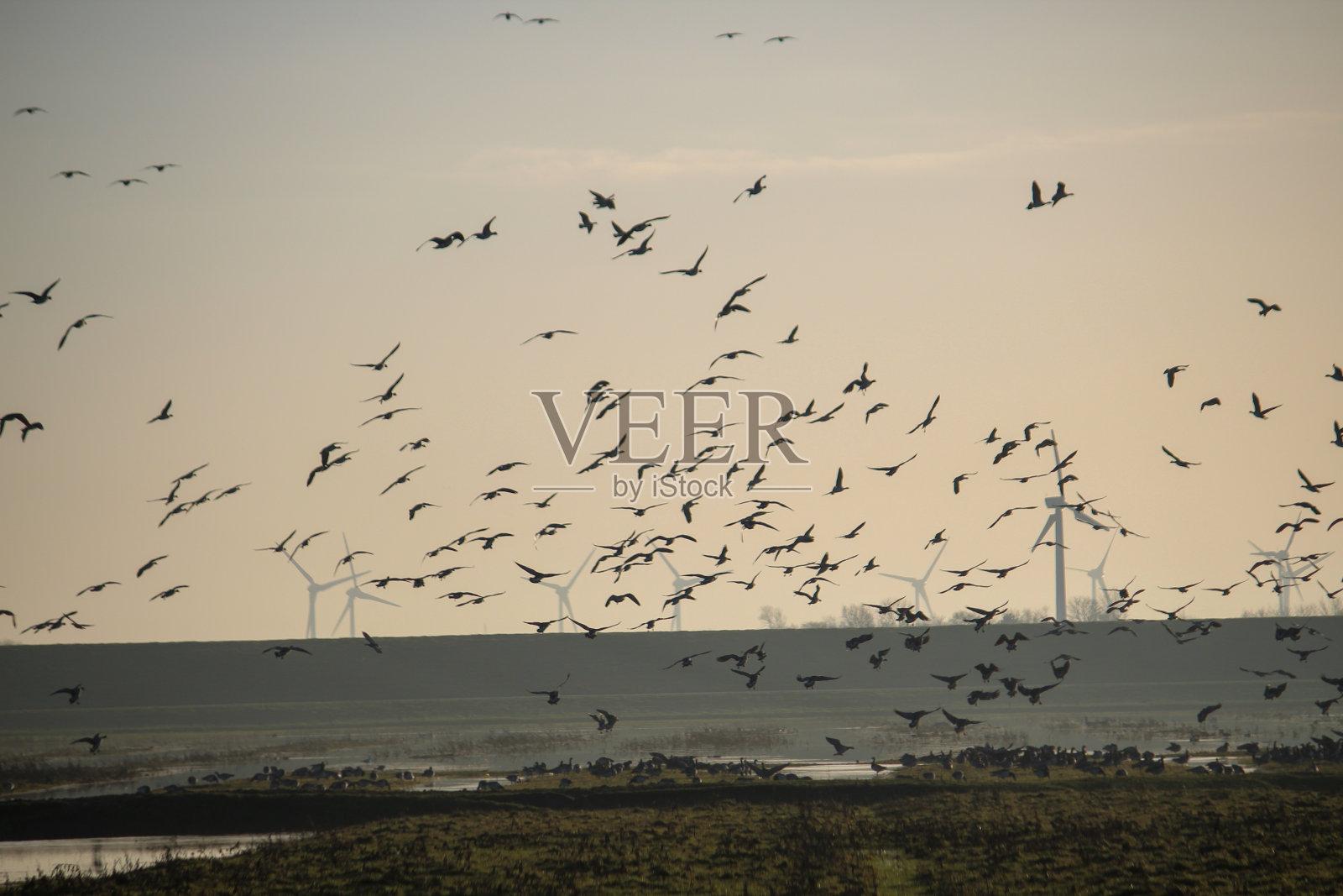 【德国】希尔根里德西尔照片摄影图片