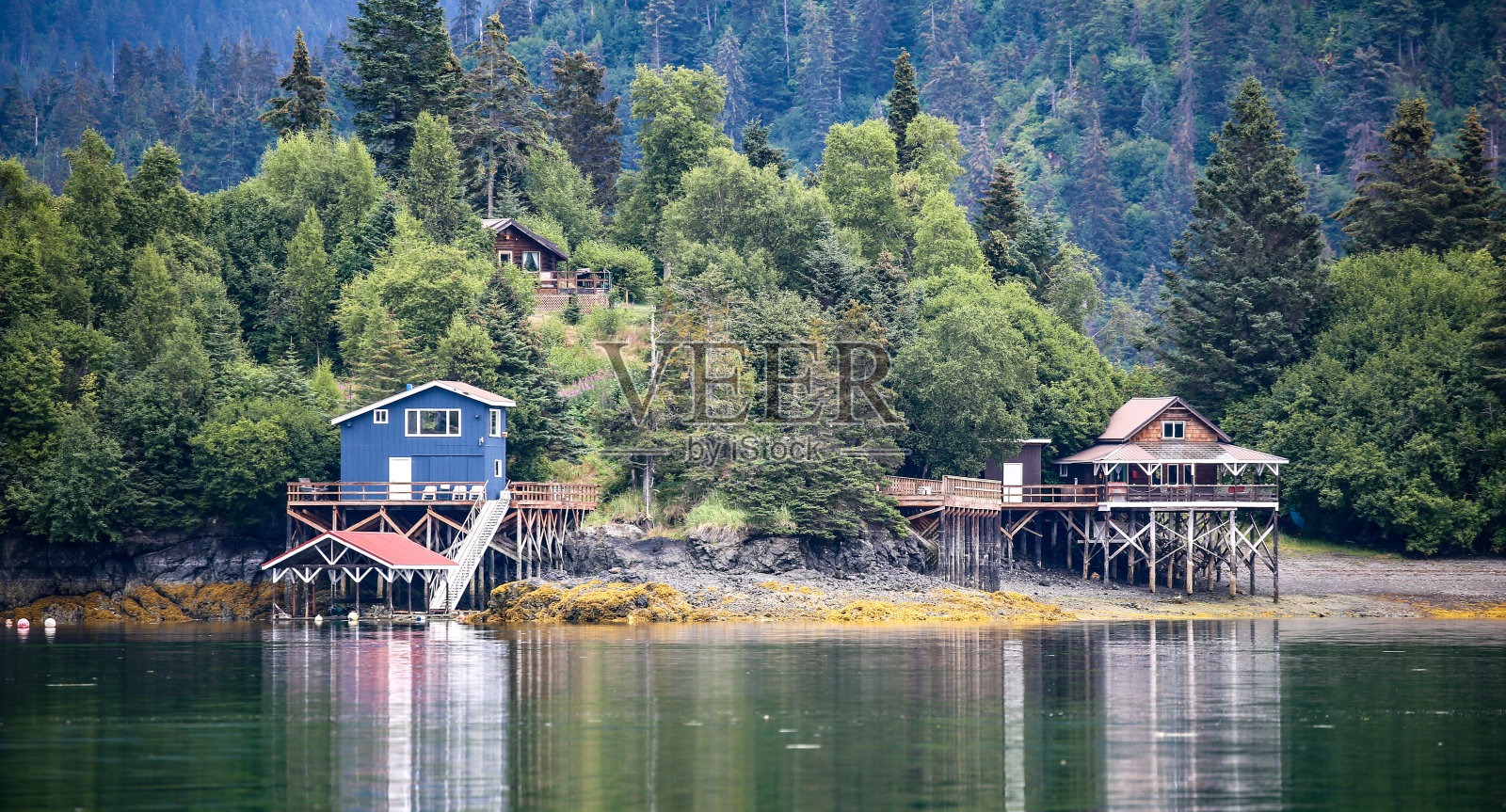 阿拉斯加大比目鱼湾,照片摄影图片