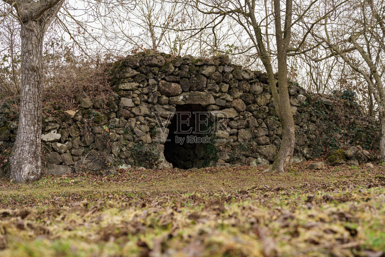 La Garrotxa森林的冬季景观照片摄影图片