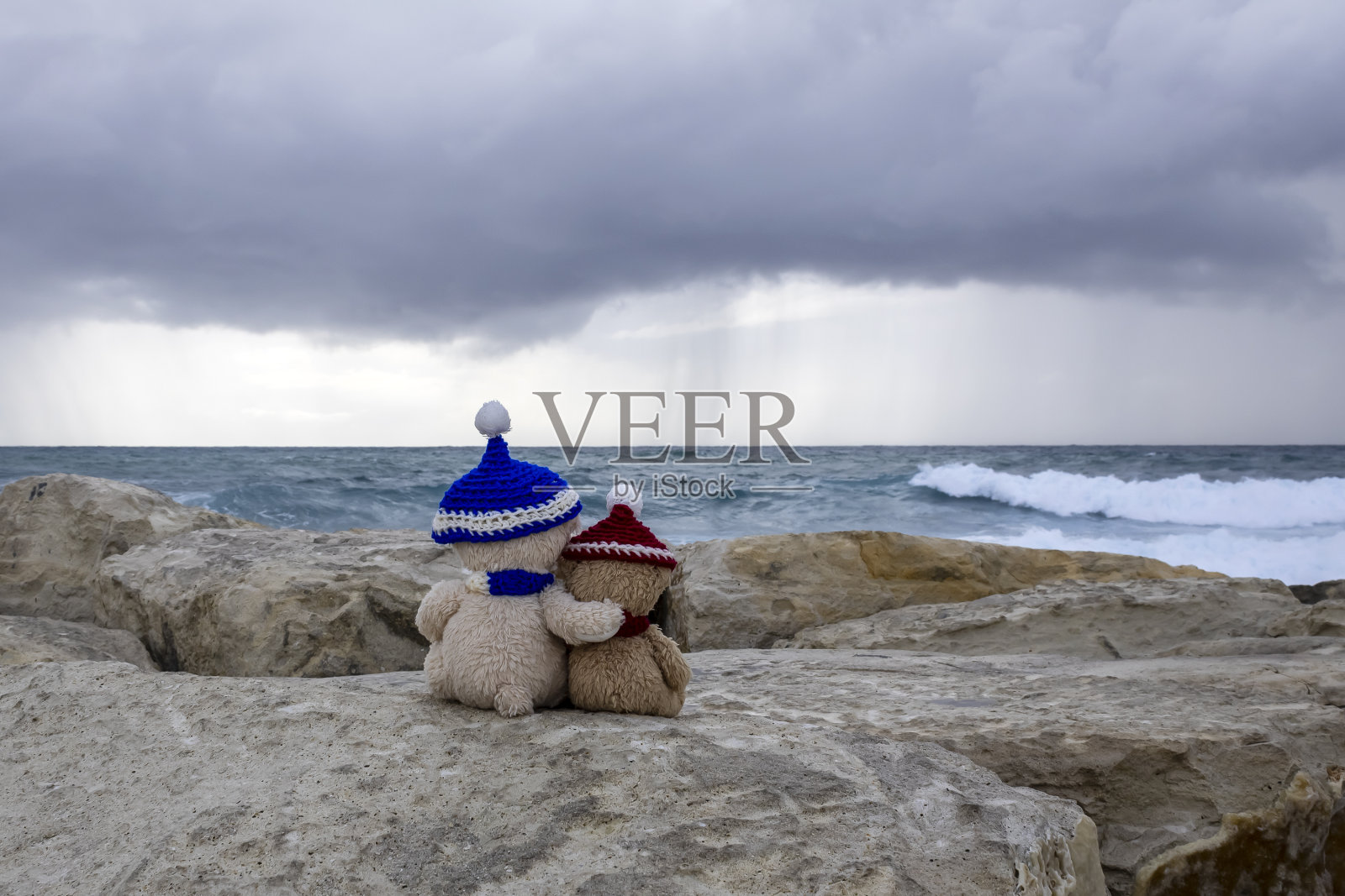 两只泰迪熊看着汹涌的大海照片摄影图片