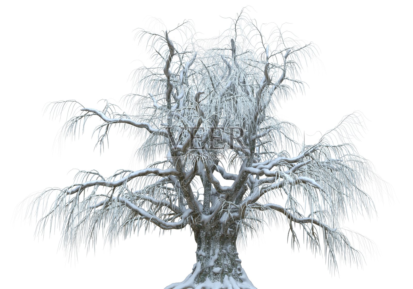 冬天的树在雪孤立在白色背景3d插图照片摄影图片