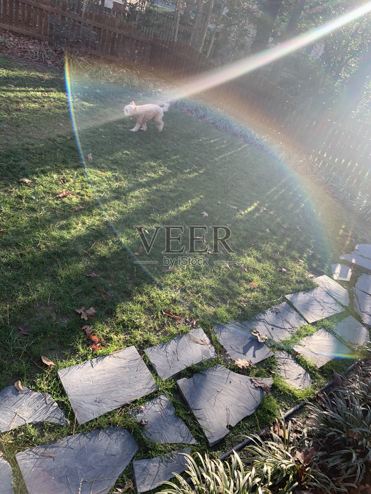 彩虹红宝石照片摄影图片