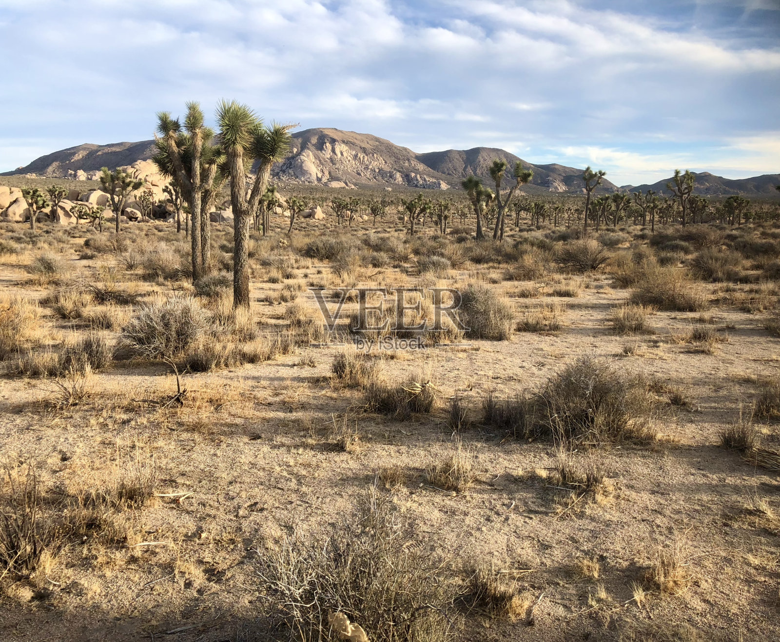 沙漠照片摄影图片