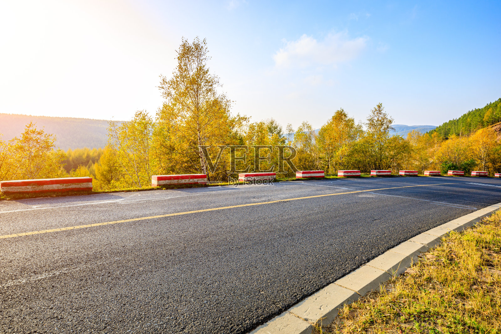 柏油路和秋树景观照片摄影图片