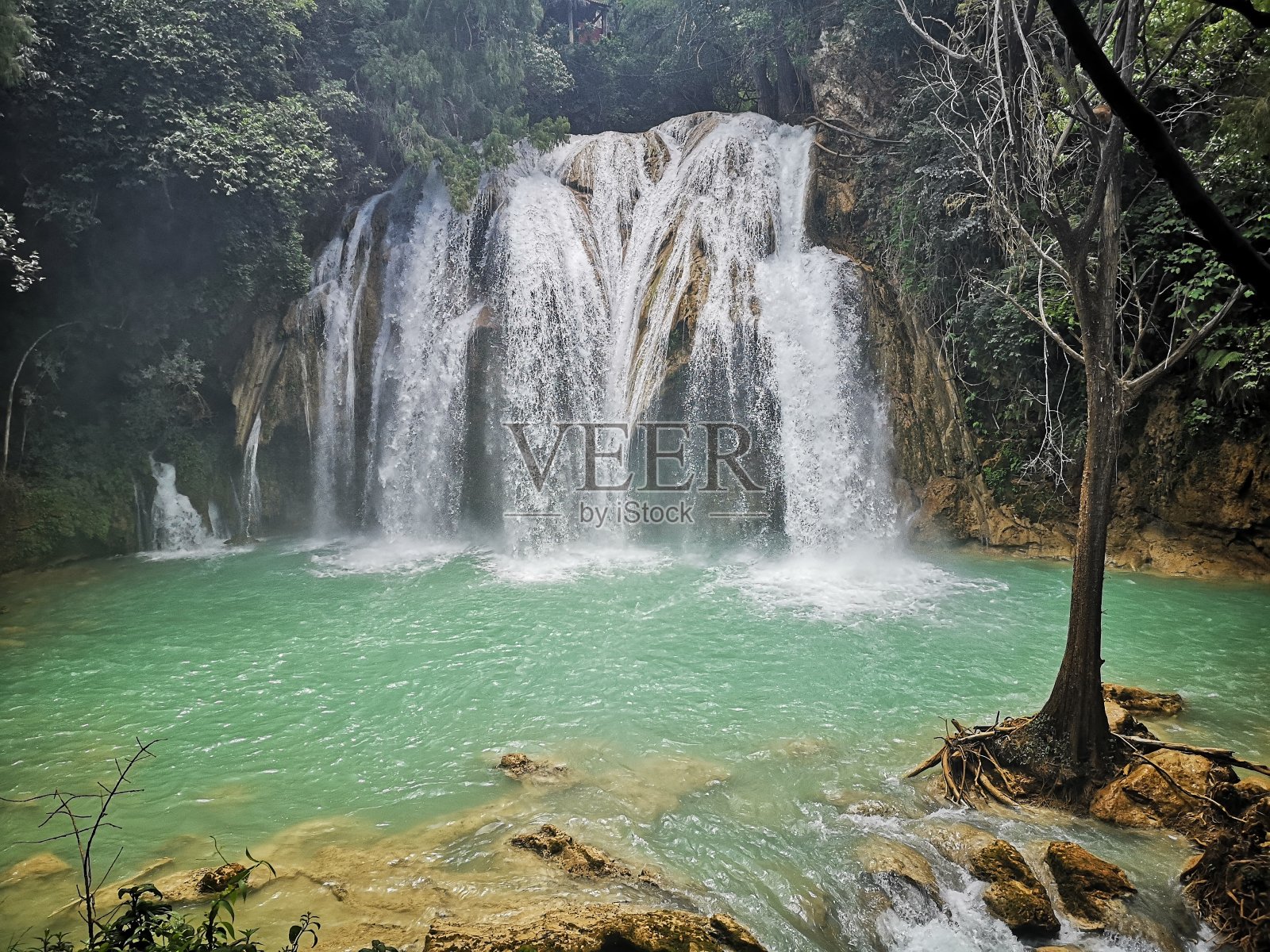 Chiflon，恰帕斯照片摄影图片