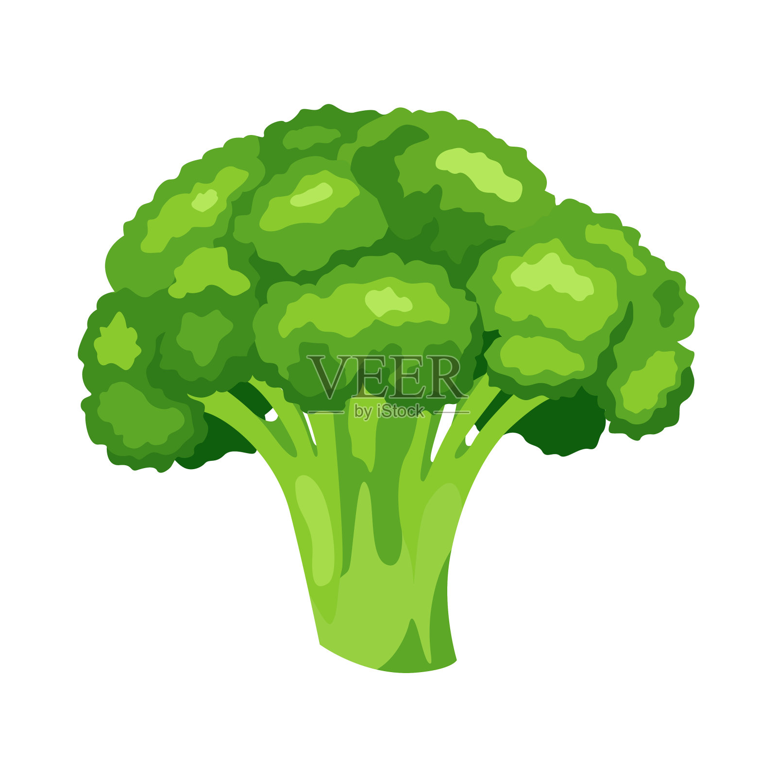 向量插图的西兰花在平坦的风格。从菜园里采摘新鲜蔬菜。健康食品的设计。做沙拉的有机环保蔬菜。插画图片素材