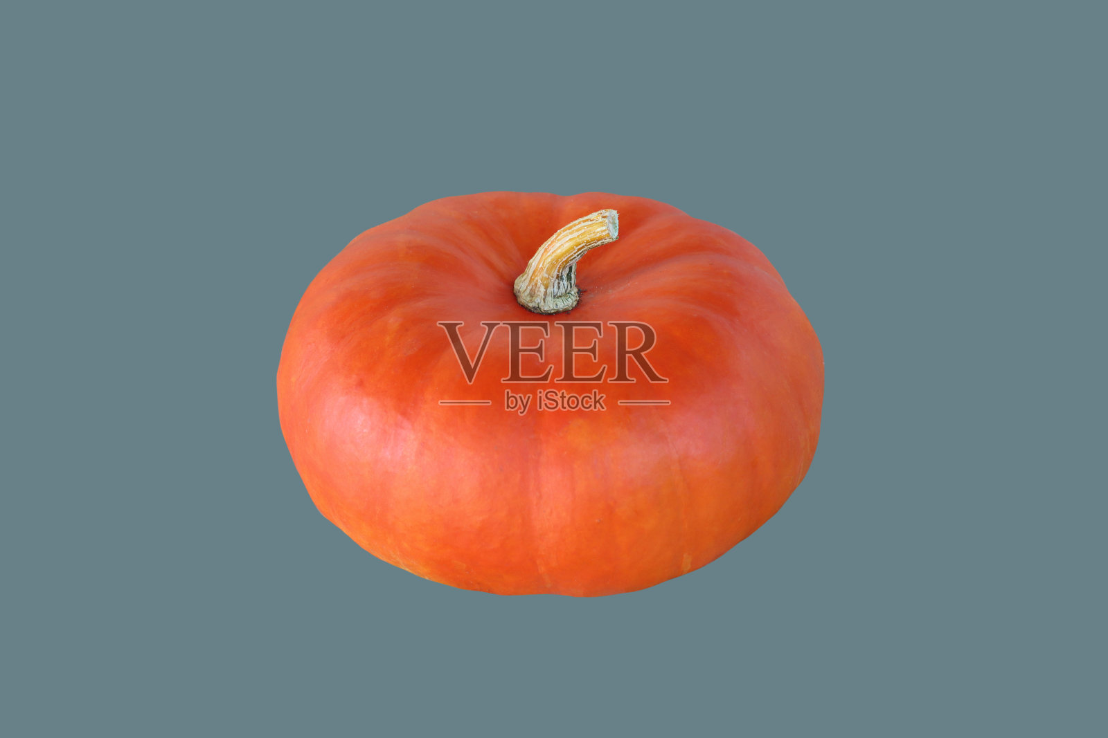 橙色,成熟的南瓜。照片摄影图片