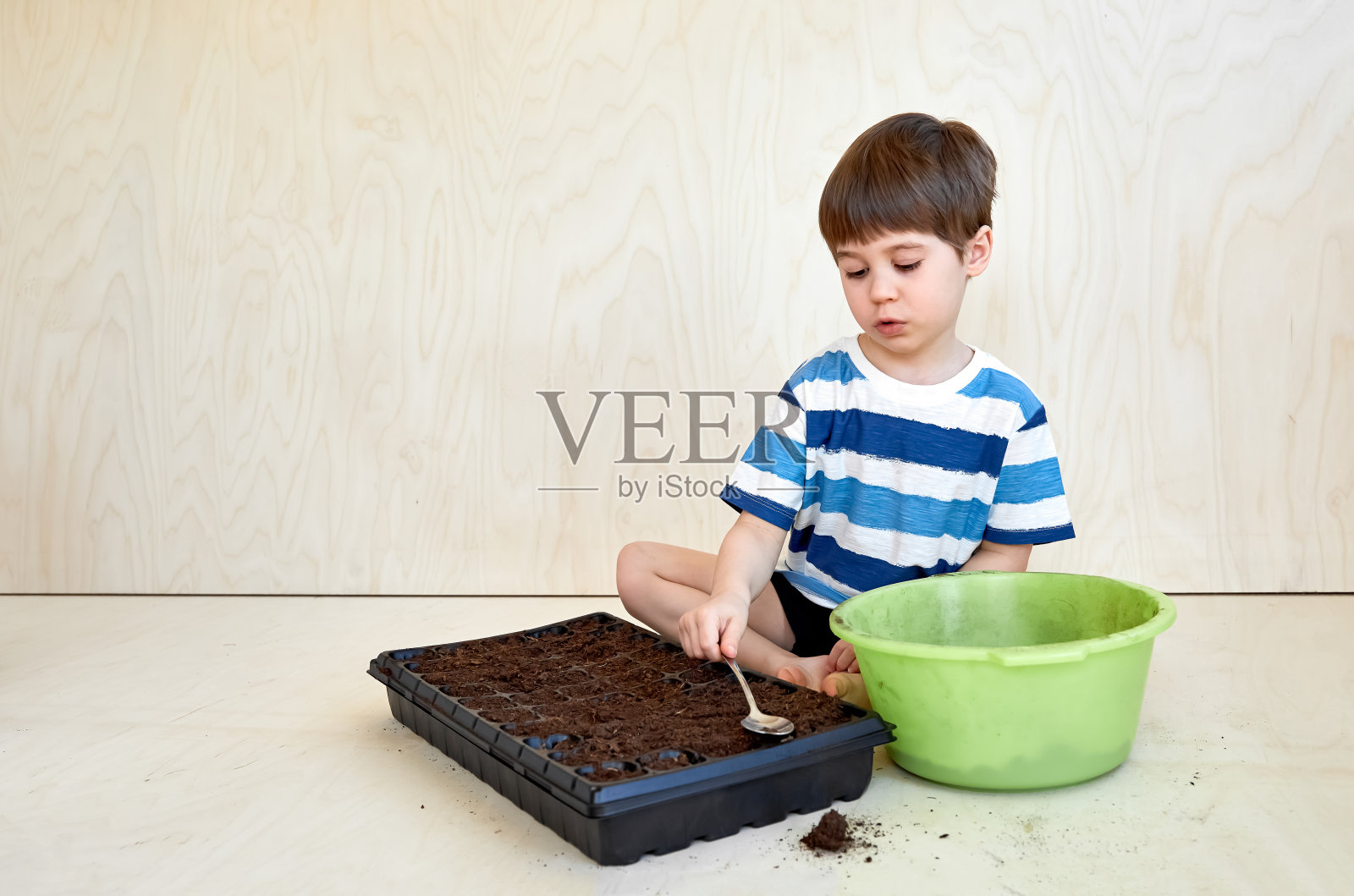 一个小男孩正在播种种苗。园丁的生活妙招。一个有趣的活动和一个有用的爱好的孩子。学前教育。人与自然。种植植物。农业。本空间照片摄影图片