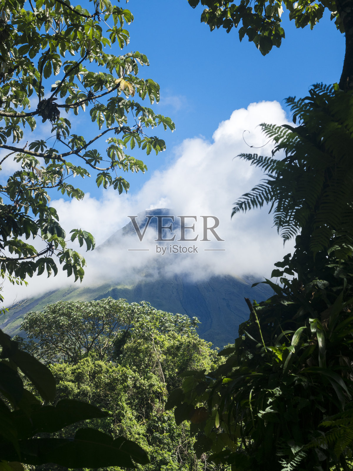 从热带雨林看阿雷纳尔火山照片摄影图片