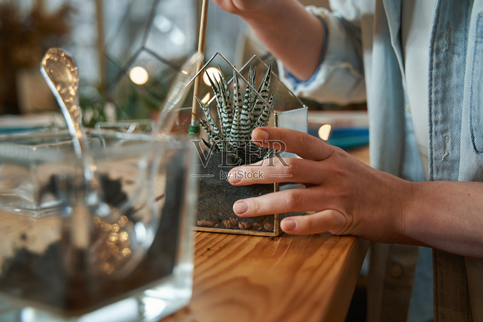 富有创造力的女人在工作室里工作和种花照片摄影图片