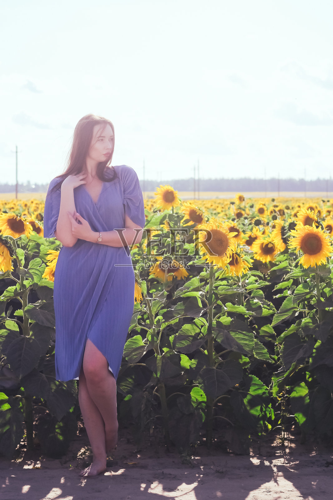 一个深色皮肤的女人，穿着蓝色的裙子，手里拿着向日葵。阳光明媚的一天。完整的长度。照片摄影图片