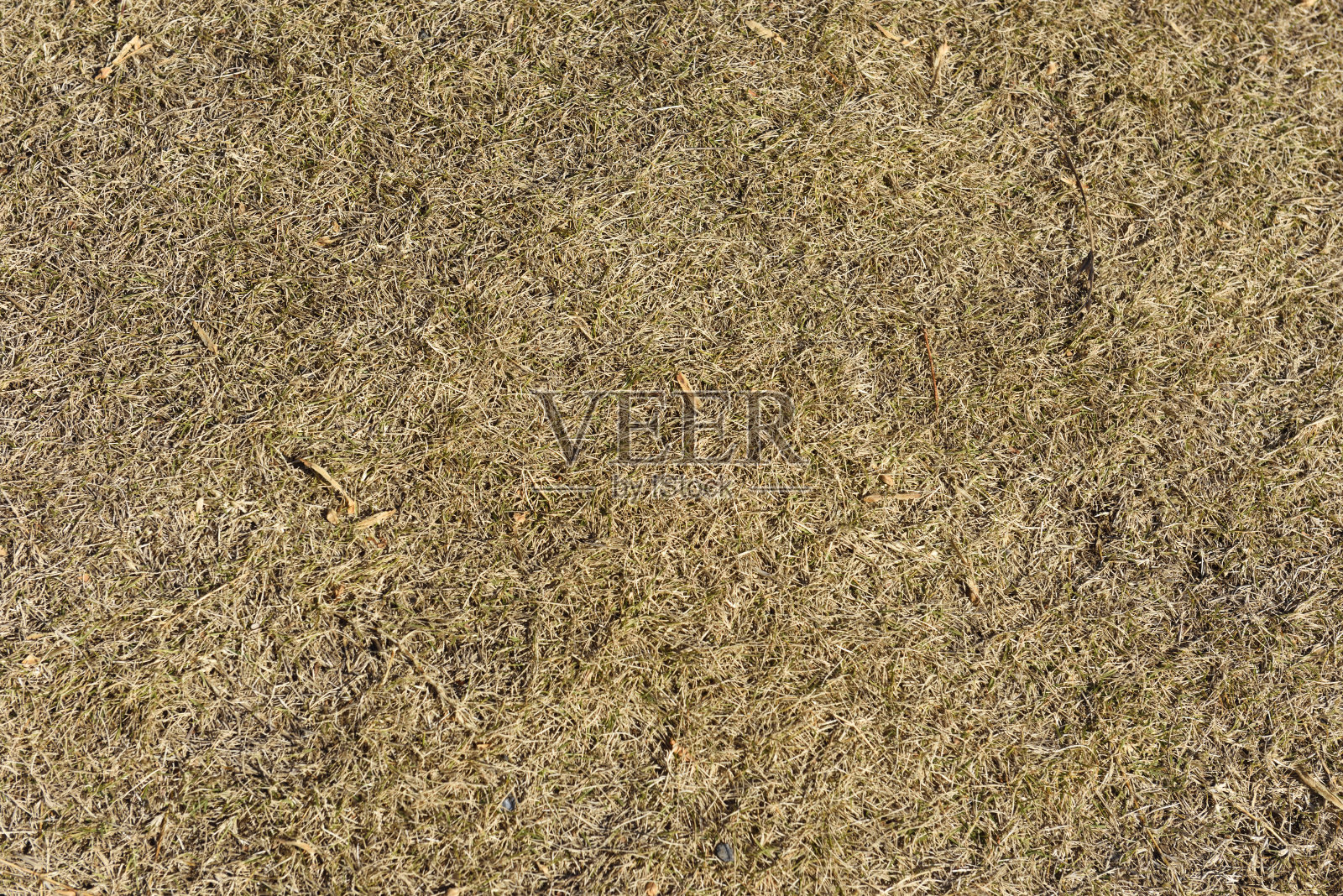 冬天棕色的草和落叶的背景照片摄影图片