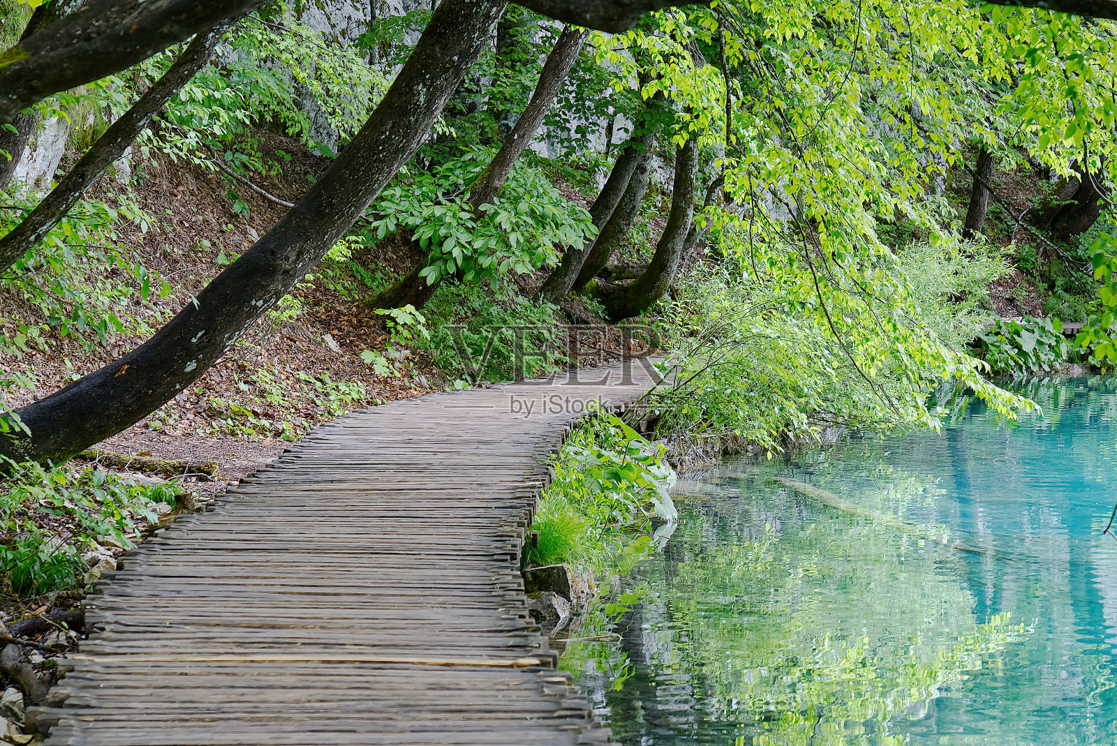 绿色公园里狭窄的木制人行桥。美丽的风景在克罗地亚，欧洲照片摄影图片