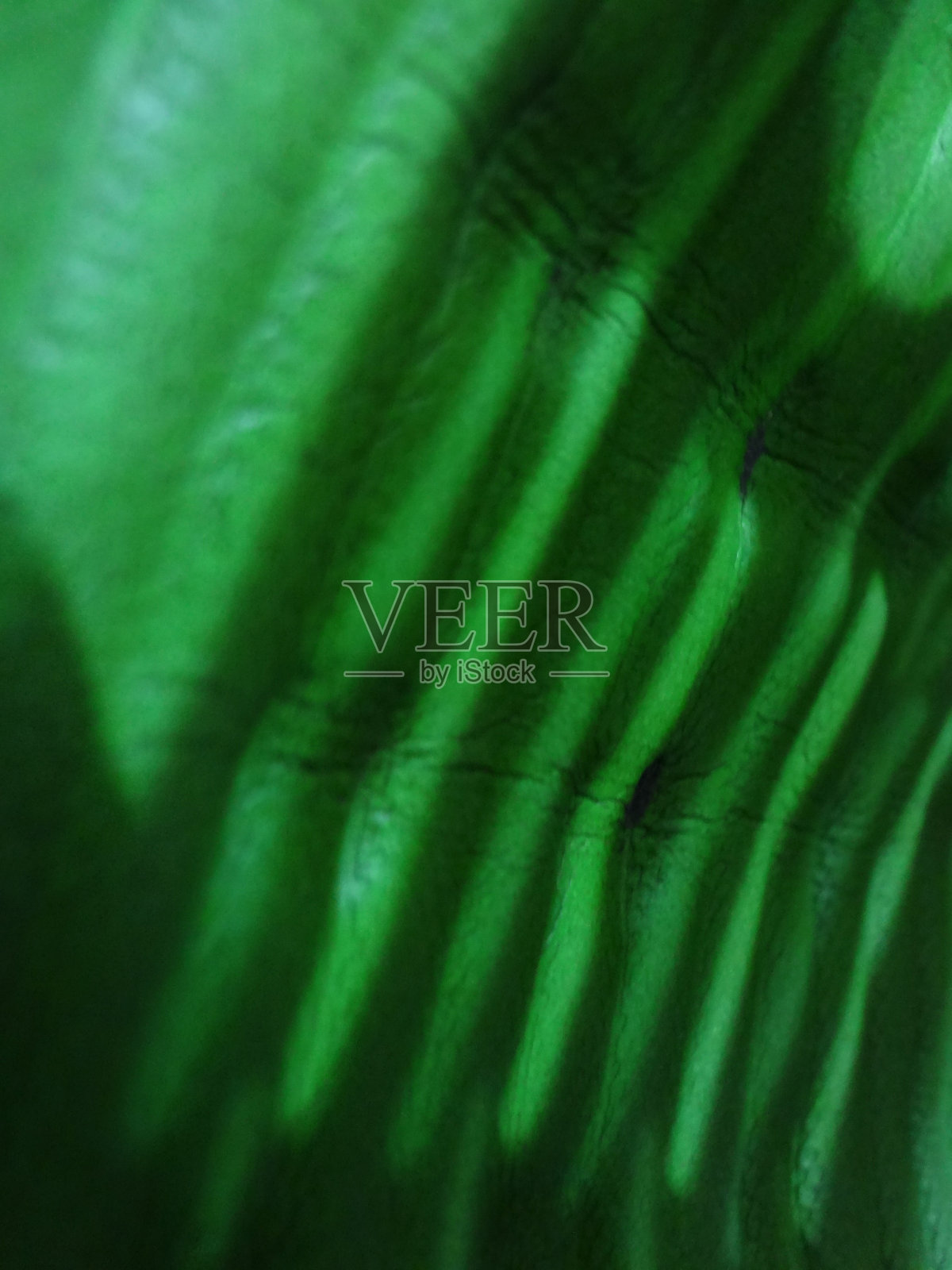 摘要波浪绿色自然图案背景照片摄影图片