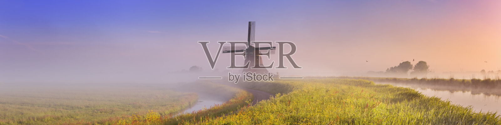 传统的荷兰风车日出在一个有雾的早晨照片摄影图片