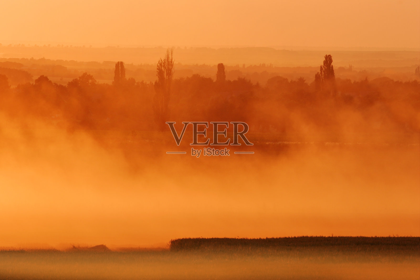 晨雾映衬着森林景观，橙色调照片摄影图片